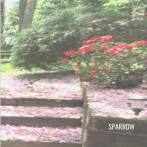 Sparrow (Single)