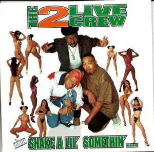 Shake a Lil' Somethin'... (Single)