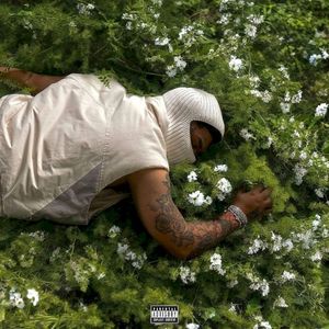 Before I Disappear Again (Deluxe)