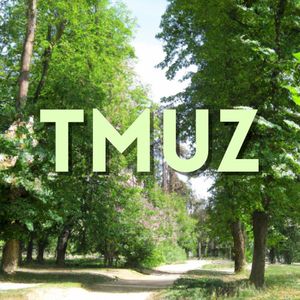 TMUZ (Single)