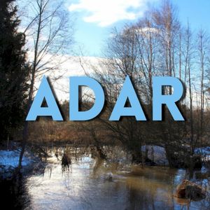 ADAR (Single)