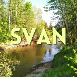 SVAN (Single)