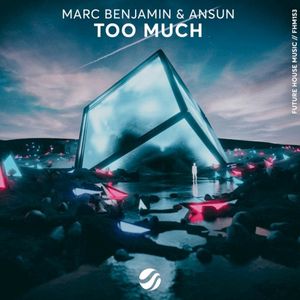 Too Much (Single)