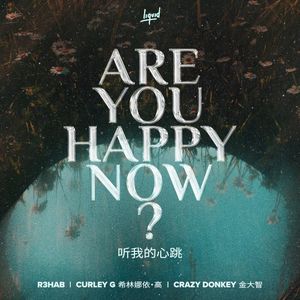 Are You Happy Now (Single)