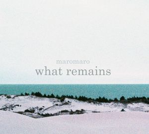 what remains