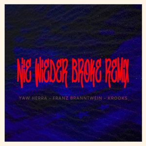 Nie wieder Broke (Remix) (Single)