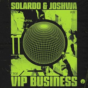 VIP Business (Single)