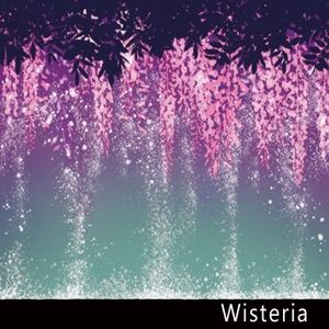 Wisteria