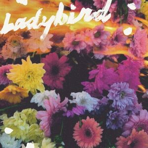 Ladybird (Single)