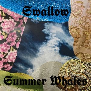 Swallow (Single)