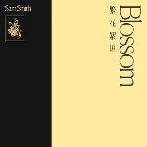 繁花絮语: Blossom