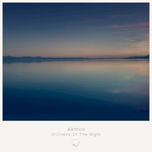 Stillness Of The Night