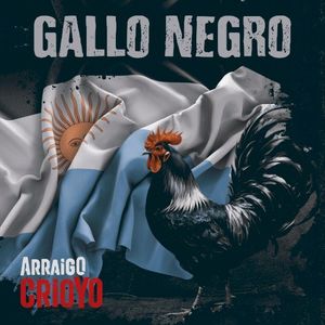 Gallo negro