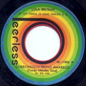 Gorrioncillo pecho amarillo / Golondrina presumida (Single)