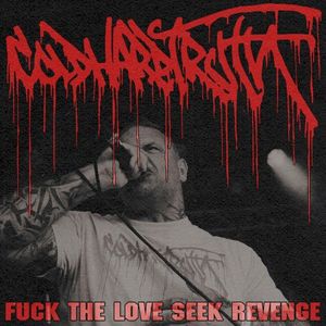 Fuck the Love Seek Revenge (Single)