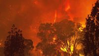 Mégafeux, le nouvel âge du feu