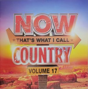 Now That's What I Call Country, Volume 17