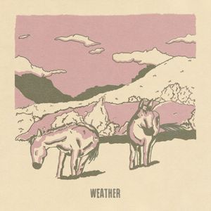Weather (Single)