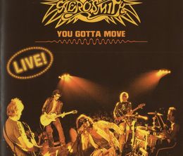 image-https://media.senscritique.com/media/000022354358/0/aerosmith_you_gotta_move.jpg