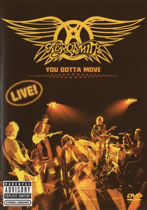 Aerosmith: You Gotta Move