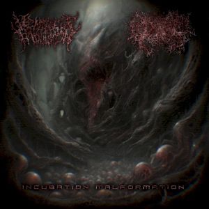 Incubation Malformation (EP)