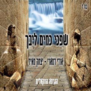 שפכי כמים ליבך (Single)