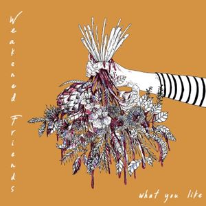 What You Like (Single)