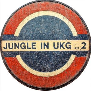 Jungle In UKG Vol. 2 (EP)