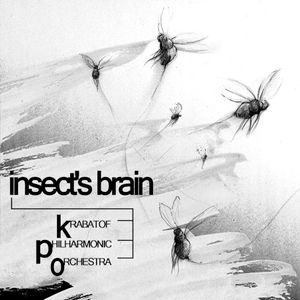 Insect's Brain