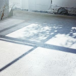 光合成 (Single)