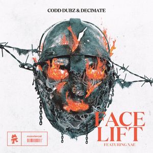 Face Lift (Single)