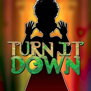 Turn It Down (Single)