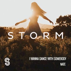 I Wanna Dance With Somebody (Single)