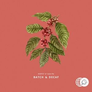 Batch & Decaf (Single)