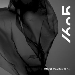 Ravaged EP (EP)