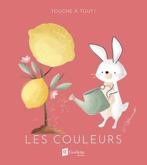 Touche à tout ! - Les couleurs