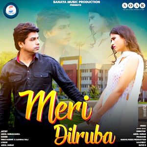 Meri Dilruba (OST)