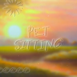 Pet Sitting