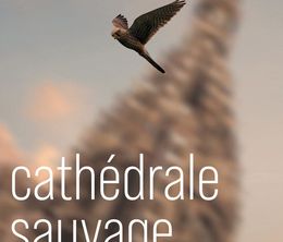 image-https://media.senscritique.com/media/000022367359/0/cathedrale_sauvage.jpg