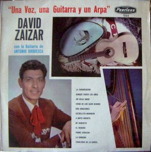 Una voz, una guitarra y un arpa