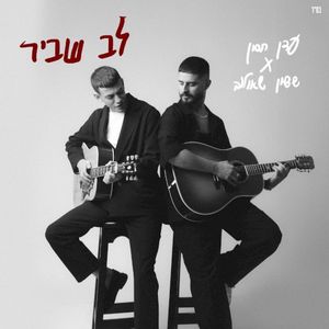 לב שביר (Single)