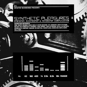 Synthetic Pleasures, Vol. 2