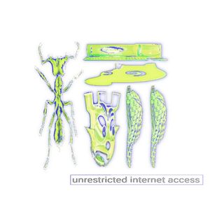 UNRESTRICTED INTERNET ACCESS (EP)