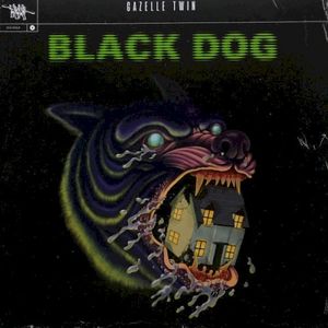 Black Dog