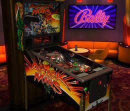 image-https://media.senscritique.com/media/000022378692/0/pinball_fx3_williams_pinball_volume_2.jpg