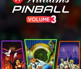 image-https://media.senscritique.com/media/000022378965/0/pinball_fx3_williams_pinball_volume_3.jpg