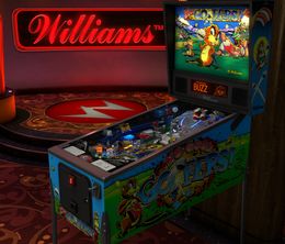 image-https://media.senscritique.com/media/000022379148/0/pinball_fx3_williams_pinball_volume_5.jpg