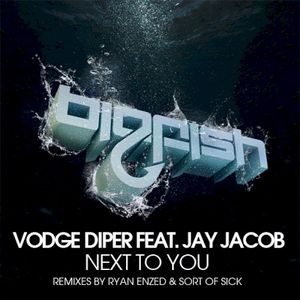 Next to You (Vodge Diper remix)