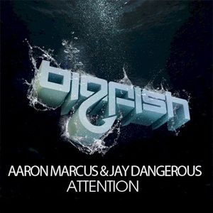 Attention (Single)