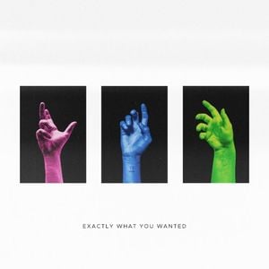 Exactly What You Wanted (Single)